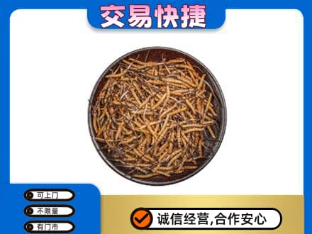 焦作市武陟回收散虫草