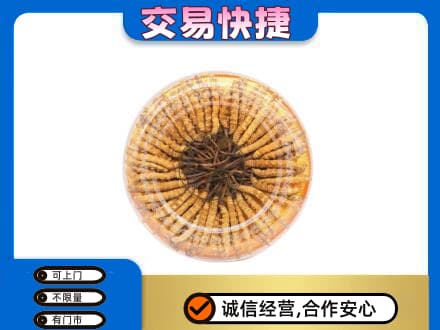 焦作市武陟回收虫草礼盒
