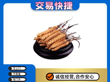焦作市武陟高价回收冬虫夏草多少钱每克
